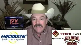 Feeder Flash 1/5:  2026 With A Bang!