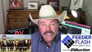 Feeder Flash 1/8:  Pushing Through Pressure