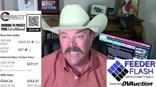 Feeder Flash 10/8:  Things are Looking Up