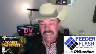 Feeder Flash 11/12:  Board Volatility Frustrates