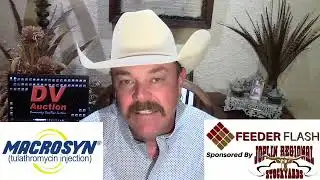 Feeder Flash 11/17:  Trump