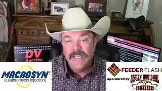 Feeder Flash 12/1:  Holiday Volatility