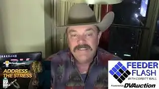 Feeder Flash 12/10:  Mexican Border Opening Imminent