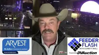 Feeder Flash 12/11:  Cash Cattle Rebounding