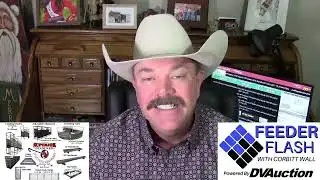 Feeder Flash 12/18:  Feeders and Replacements Still on Fire