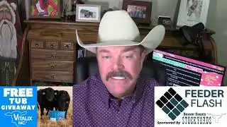 Feeder Flash 12/2:  End of Year Nearing