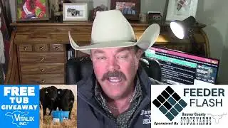 Feeder Flash 12/30:  Record Prices and Punchy Pics