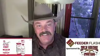 Feeder Flash 12/8:  Vertical Incline Since Thanksgiving