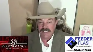 Feeder Flash 2/4:  Bullish Storm