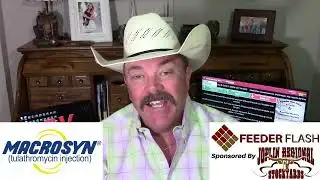 Feeder Flash 8/11:  False Alarm