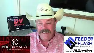 Feeder Flash 8/6:  Brazilian Spice