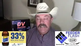 Feeder Flash 8/8:  Are We There Yet?