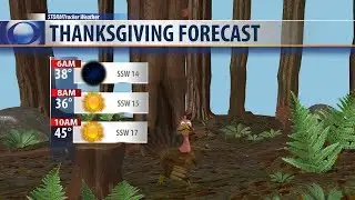 Feeling more like late summer