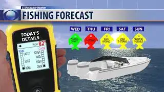 Feeling more like Summer!