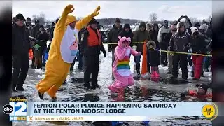 Fenton Polar Plunge