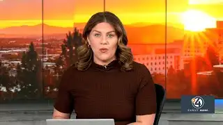 FERGUSON ICE RESPONSE