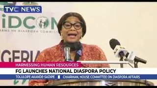 FG Launches National Diaspora Policy