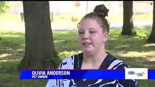 Fido looking to help man`s best friend