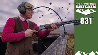 Fieldsports Britain – Childerley on grouse