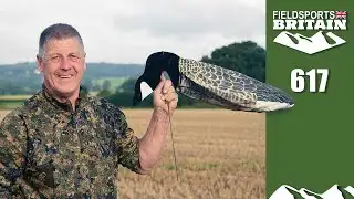 Fieldsports Britain – Crowy