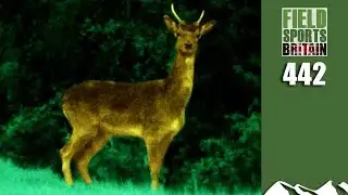 Fieldsports Britain - Delicious Deer