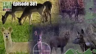 Fieldsports Britain - Eight deer, four species, one day