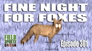Fieldsports Britain - Fine Night for Foxes