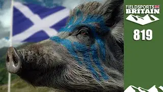 Fieldsports Britain – Get ready, McBoar are coming