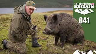 Fieldsports Britain – Hunting Highland hogs
