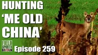 Fieldsports Britain - Hunting  