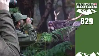 Fieldsports Britain – Monster deer of Dorset