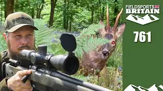 Fieldsports Britain – Murder buck hunt