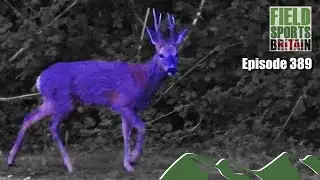 Fieldsports Britain - 