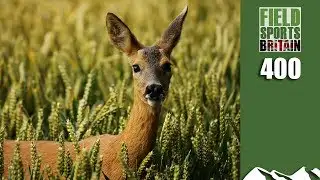 Fieldsports Britain - Roy