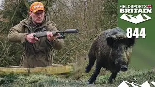 Fieldsports Britain – Wayne