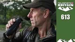 Fieldsports Britain – we have to shoot more deer