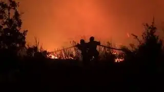 Fierce wildfire near Saint-Tropez forces thousands to evacuate
