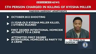 Fifth person charged in Harmony shooting