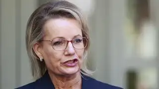 ‘Fighting chance’: Susan Ley ‘attacks Labor