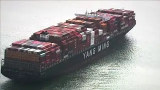 Fighting the supply chain break down