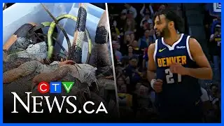 Final Five: Stunningly cold and Jamal Murray named an all-star