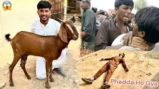 FINALLY BAKRA🐐LE LIYA😍 BAKRA MANDI MIAN PHADDA HOGYA🤬