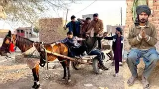 Finally Chor Na Hamza Sa Mafi Mang Li || hammad pet house 