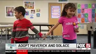 Find My Forever: Adopt Maverick and Solace