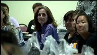 Finding a solution to the local feral cat problem