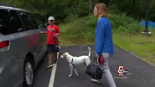 Finding forever homes