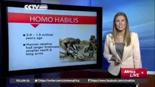 Finding our human ancestors