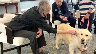 Finding Solutions: Therapy pups bring joy, comfort to seniors