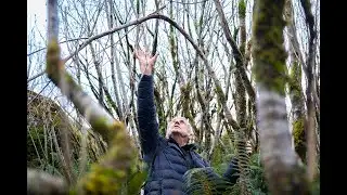 Fiordland Moose Latest Update