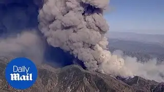 Fire crews battle massive blaze burning through CA national forest